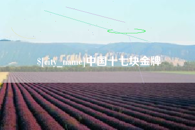 广饶中国十七块金牌