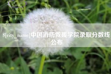 广饶中国消防救援学院录取分数线公布