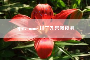 广饶排三九宫图预测
