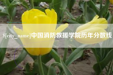 广饶中国消防救援学院历年分数线