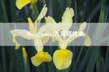广饶九宫格优点