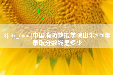 广饶中国消防救援学院山东2020年录取分数线是多少