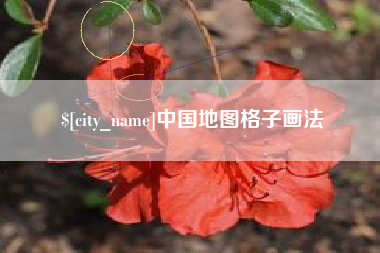 广饶中国地图格子画法