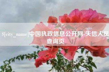 广饶中国执政信息公开网-失信人员查询页