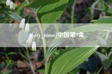 广饶中国第9金