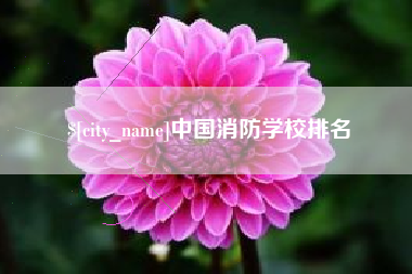 广饶中国消防学校排名