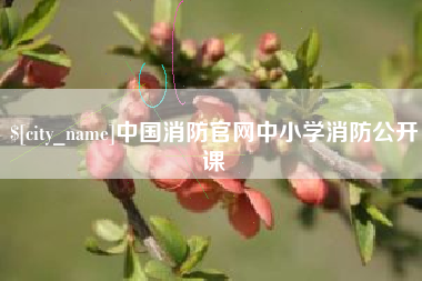 广饶中国消防官网中小学消防公开课