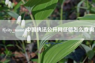 广饶中国执法公开网征信怎么查询