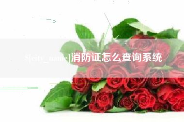 广饶消防证怎么查询系统