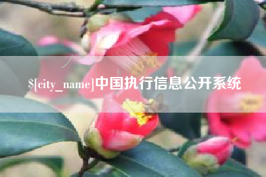 广饶中国执行信息公开系统