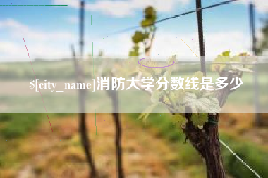 广饶消防大学分数线是多少