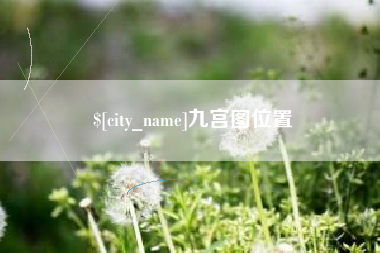广饶九宫图位置