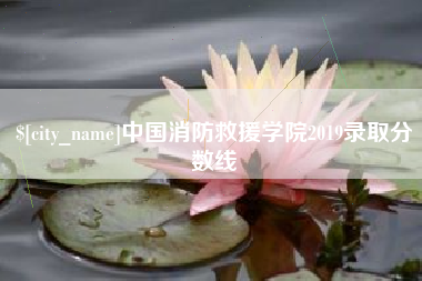 广饶中国消防救援学院2019录取分数线