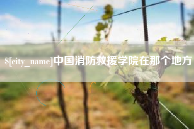 广饶中国消防救援学院在那个地方
