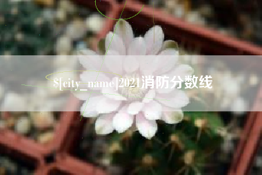 广饶2021消防分数线