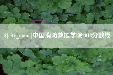 广饶中国消防救援学院2018分数线
