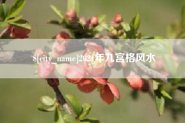 广饶2021年九宫格风水