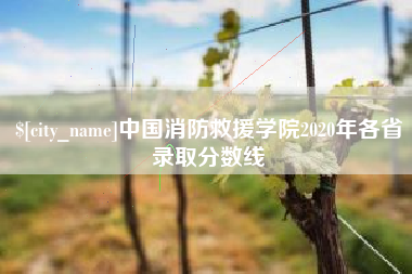 广饶中国消防救援学院2020年各省录取分数线