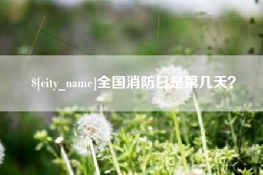 广饶全国消防日是第几天？
