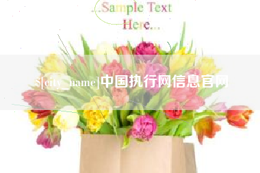 广饶中国执行网信息官网