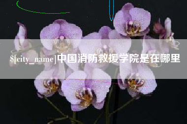 广饶中国消防救援学院是在哪里