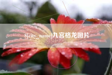 广饶九宫格龙图片