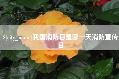 广饶我国消防日是哪一天消防宣传日