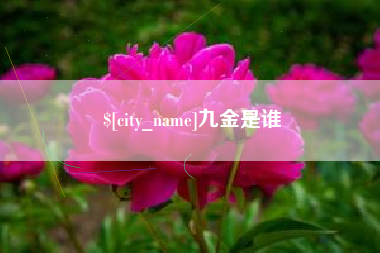 广饶九金是谁