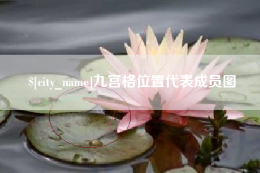 广饶九宫格位置代表成员图