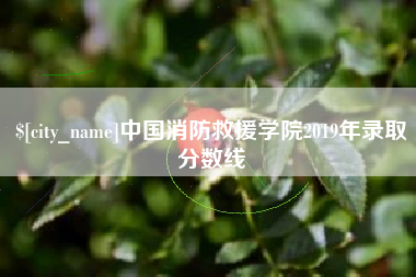 广饶中国消防救援学院2019年录取分数线