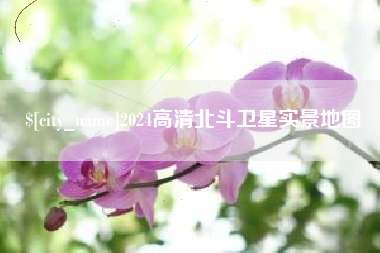 广饶2024高清北斗卫星实景地图