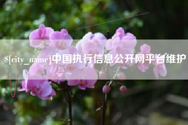 广饶中国执行信息公开网平台维护