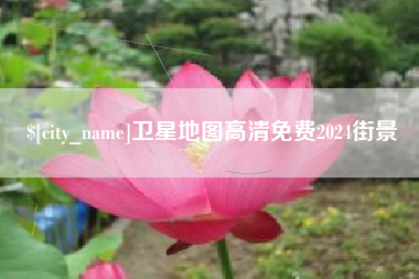 广饶卫星地图高清免费2024街景