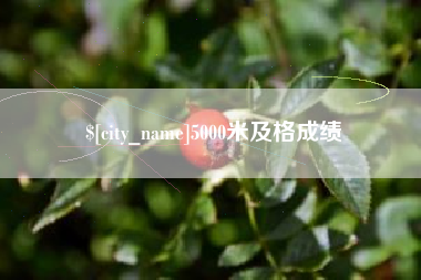 广饶5000米及格成绩
