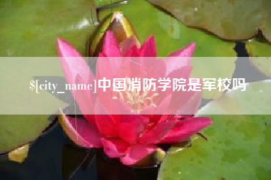 广饶中国消防学院是军校吗