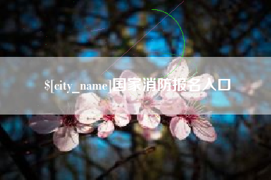 广饶国家消防报名入口