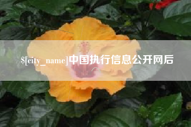 广饶中国执行信息公开网后