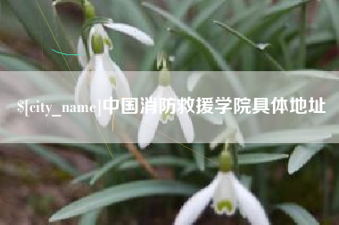 广饶中国消防救援学院具体地址
