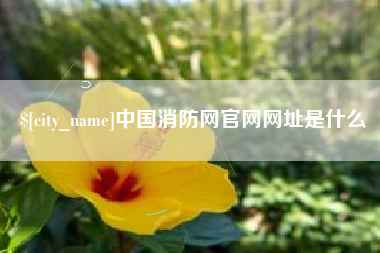 广饶中国消防网官网网址是什么