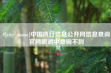 广饶中国执行信息公开网信息查询官网限消中查询不到