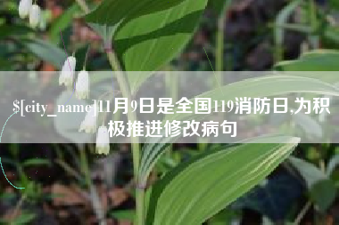 广饶11月9日是全国119消防日,为积极推进修改病句