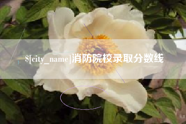 广饶消防院校录取分数线