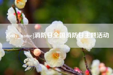 广饶消防日全国消防日主题活动