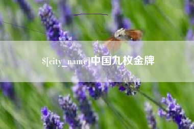 广饶中国九枚金牌