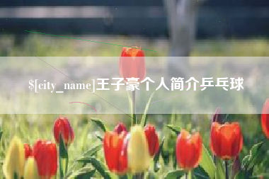 广饶王子豪个人简介乒乓球