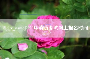 广饶2020年消防考试网上报名时间