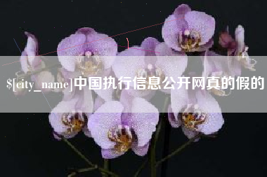 广饶中国执行信息公开网真的假的