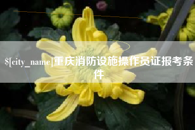 广饶重庆消防设施操作员证报考条件