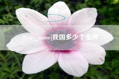广饶我国多少个金牌
