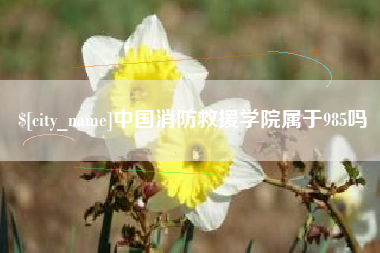 广饶中国消防救援学院属于985吗